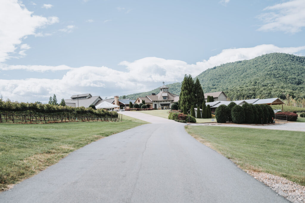Wide view of Yonah Mountain Vineyards