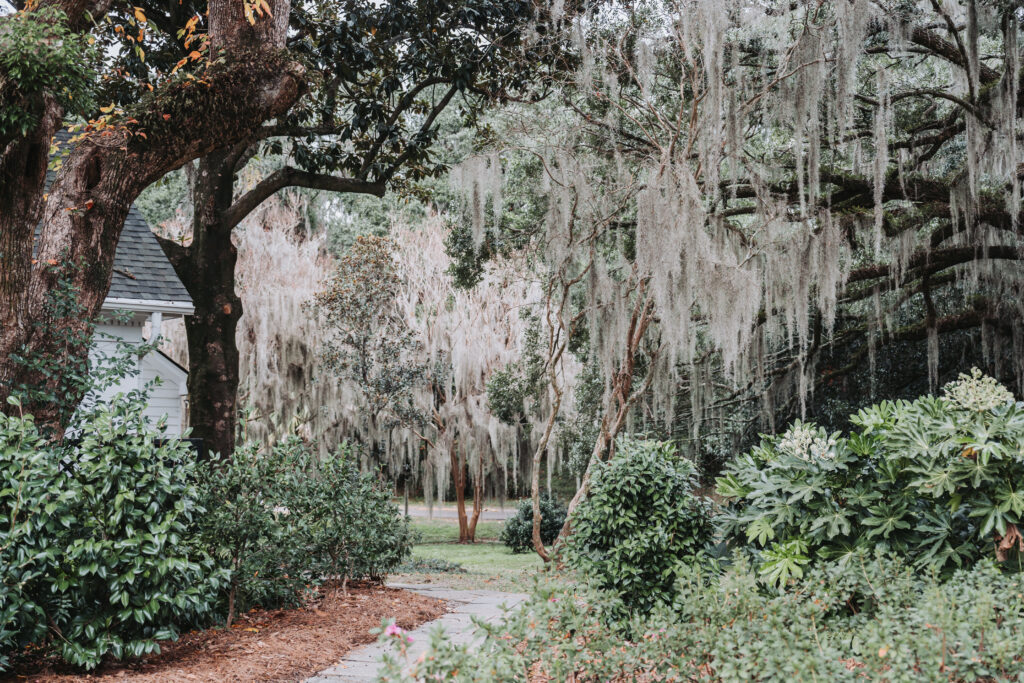 photo location at Legare waring house